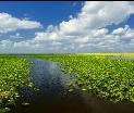 Everglade Park
